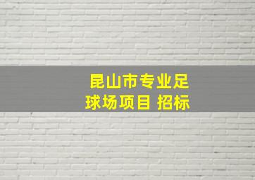 昆山市专业足球场项目 招标